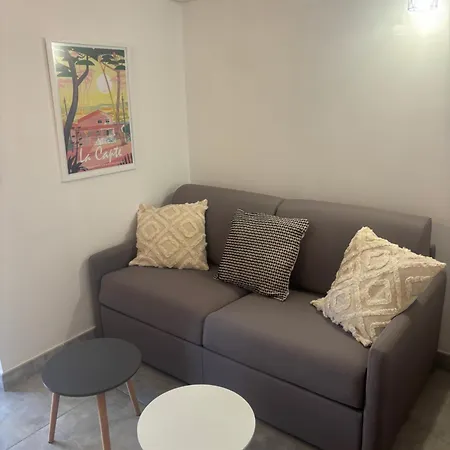 Les Flamants Roses La Capte T2 4 Personnes 200m De La Apartmán *