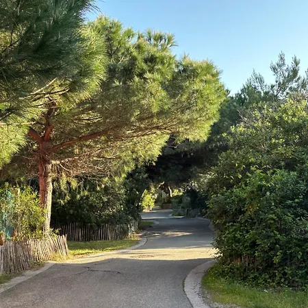 Les Flamants Roses La Capte T2 4 Personnes 200m De La Apartmán